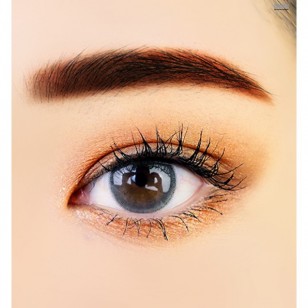 Holoris Mild Gray(日拋)